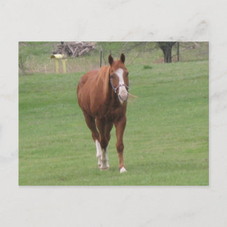 carte postale
