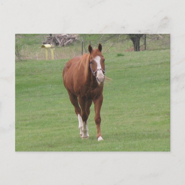 carte postale (Devant)