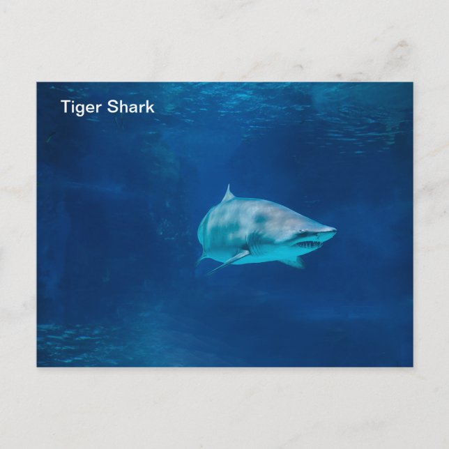 Carte postale (Devant)