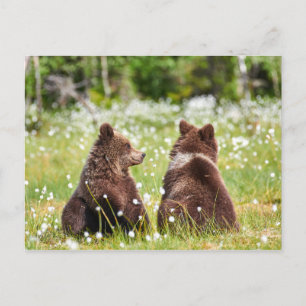 Carte postale