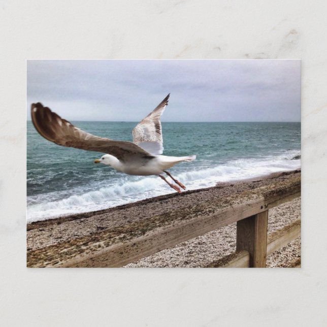 Carte postale (Devant)