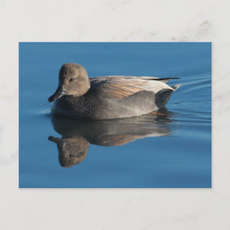 Carte postale