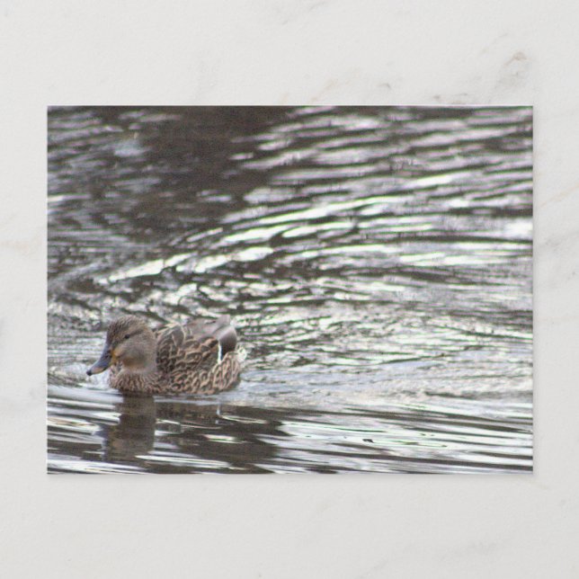 Carte postale (Devant)