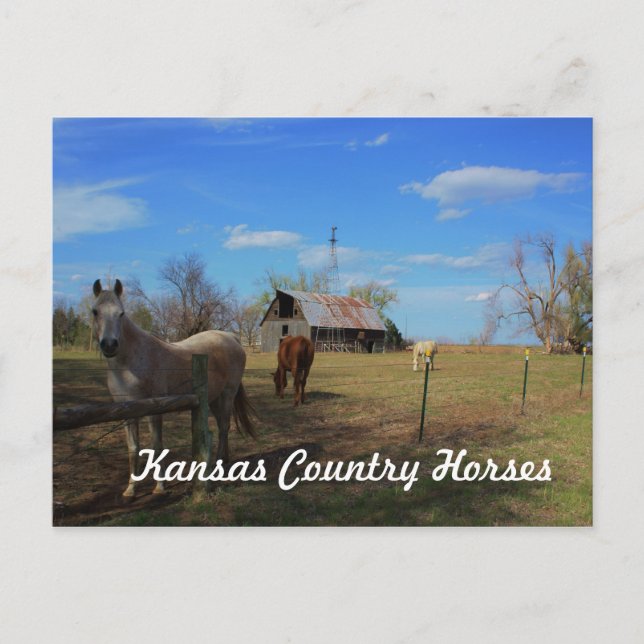 Carte postale (Devant)