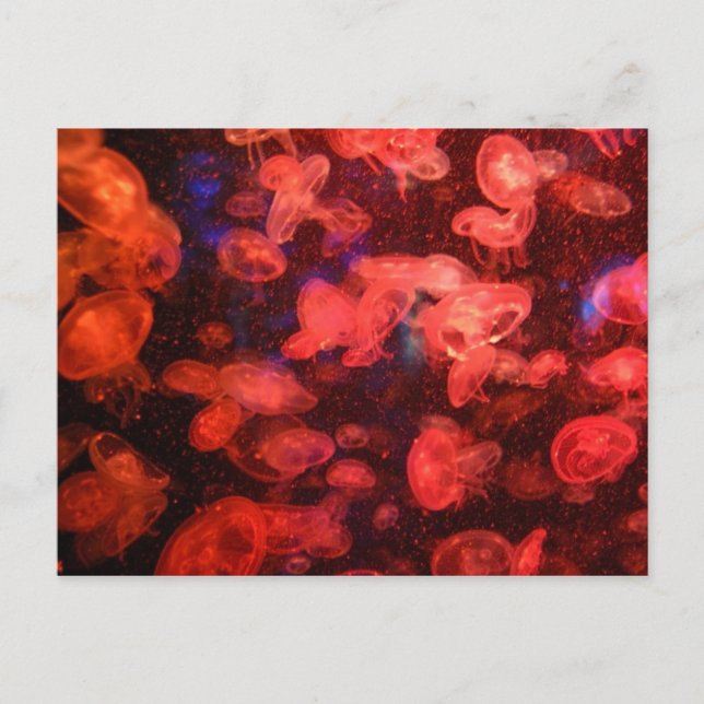 Carte postale (Devant)