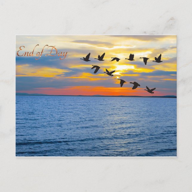 Carte postale (Devant)