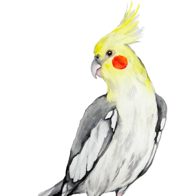 Carte postale (Créateur téléchargé)