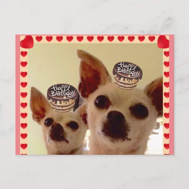 CARTE POSTALE- (Devant)