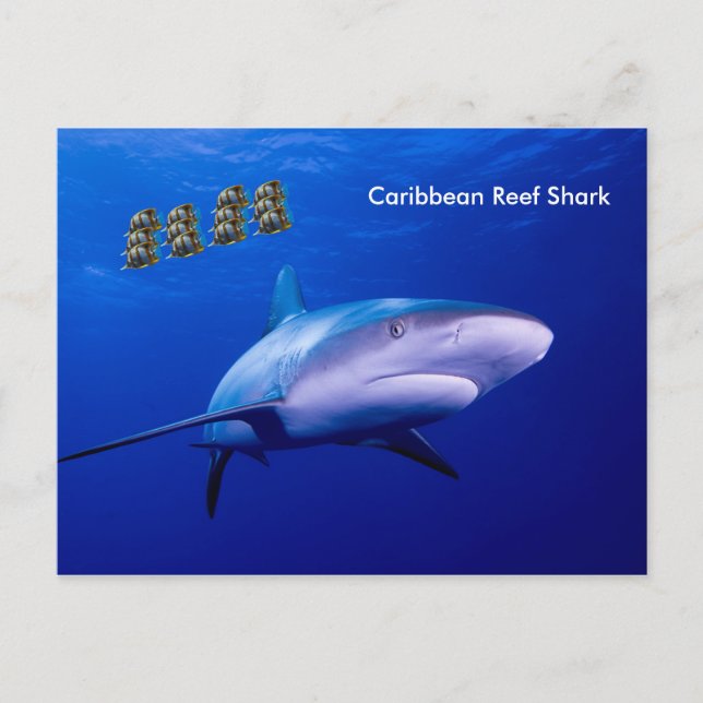 Carte postale (Devant)