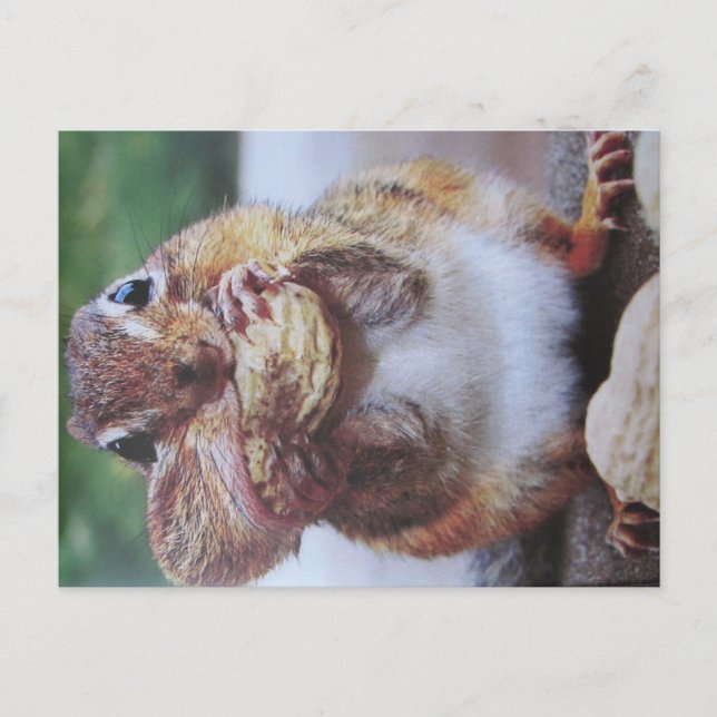 Carte postale (Devant)