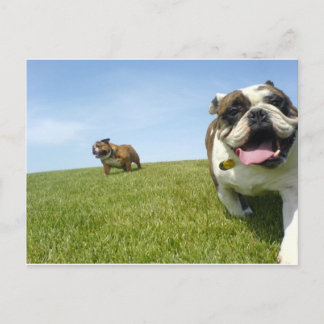 Carte postale