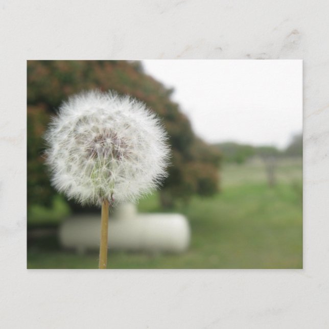 carte postale (Devant)