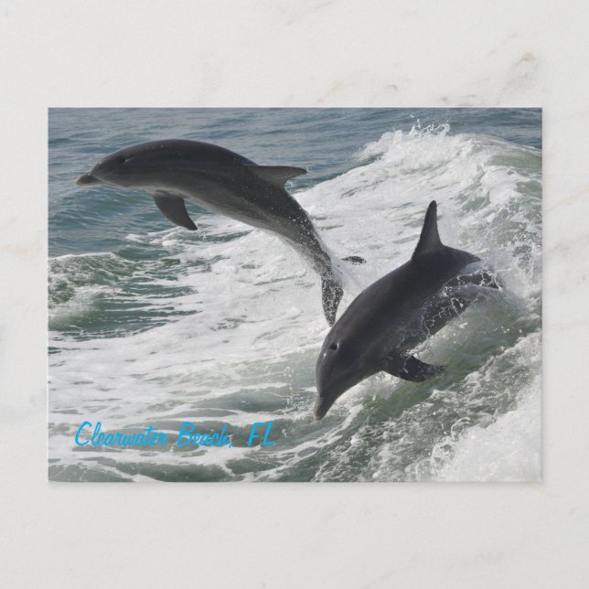 Carte postale (Devant)