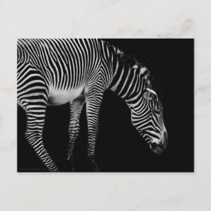 Carte postale