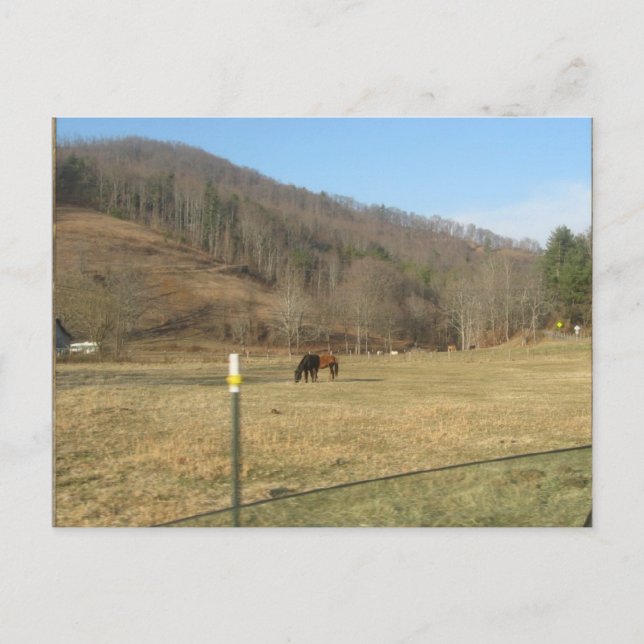 carte postale (Devant)