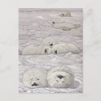 CARTE POSTALE アザラシ四季シリーズ 冬