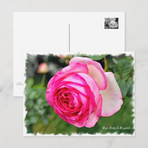 Carte Postale エ ー ル ・ ド ゥ ロ ・  de  [  DU  DU ] 