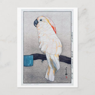 Carte Postale オ タ オ オ, ム, cockatoo à crête Saumon, Yoshida