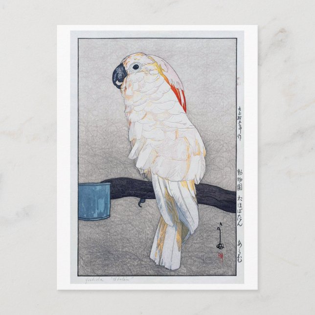 Carte Postale オ タ オ オ, ム, cockatoo à crête Saumon, Yoshida (Devant)