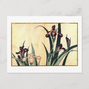Carte Postale カ キ タ ツ, 斎 Irises, Ukiyo-e,