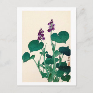 Carte Postale ギ ボ , 古 Violet Flower Hosta, Ohara Koson