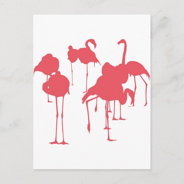 CARTE POSTALE フ ン (Devant)