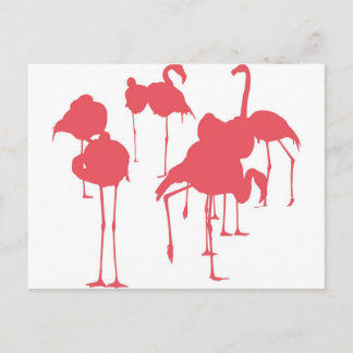 CARTE POSTALE フ ン