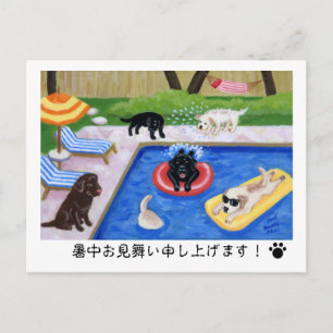 Carte Postale プ ー を ん の Labradors