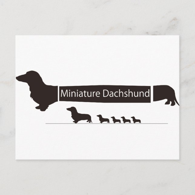 CARTE POSTALE ミ ニ ュ ア ダ ク ン フ      (Devant)