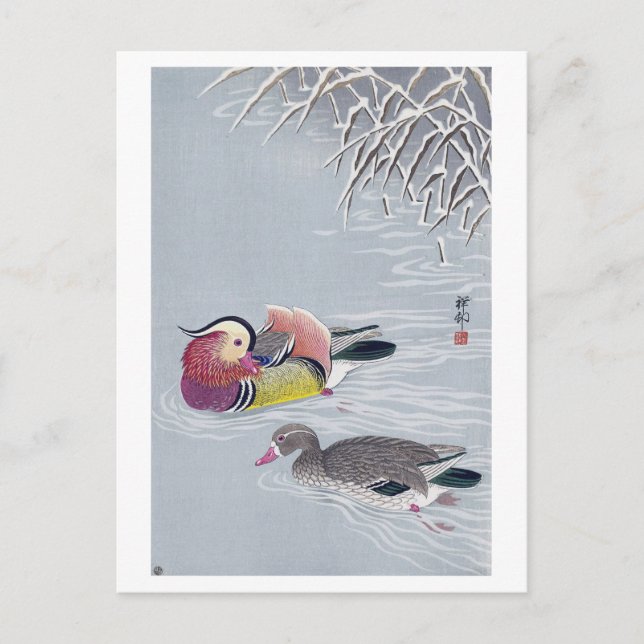Carte Postale リ d'オ, 原 ド 邨 canard mandarin, Ohara Koson, Ukiyo-e (Devant)