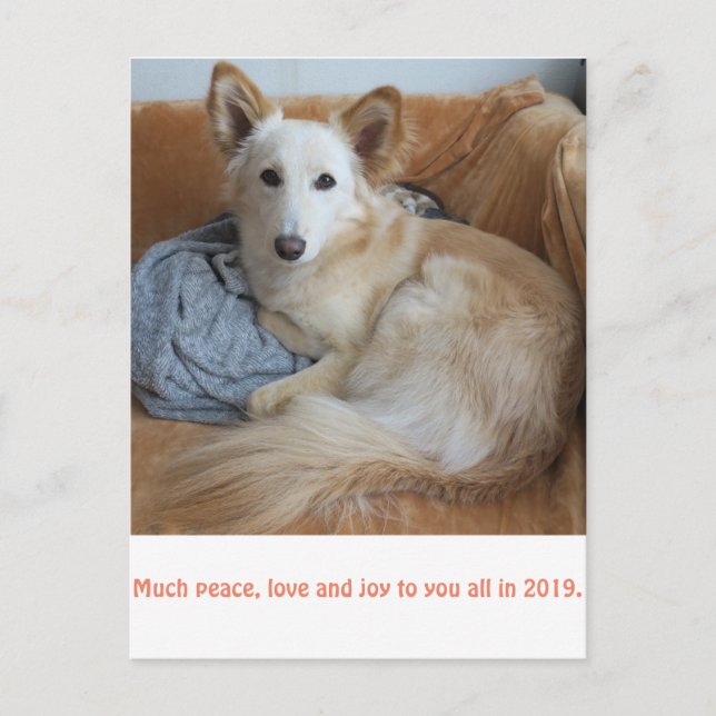 Carte Postale ワ OEuvre ミ ク  ド 雪 ド 2019 (Devant)