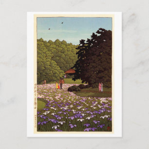 Carte Postale 明 治 神 宮 菖 園, Jardin d'Iris au Sanctuaire Meiji, Ha