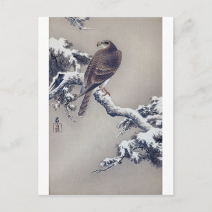 Carte Postale 松 に 鷹, 古 邨 Hawk sur Pine tree, Ohara Koson, Coupe 
