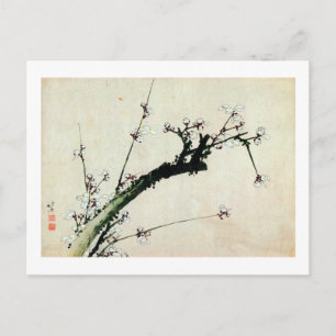 Carte Postale 梅 花, 北 Plum Blossoms, Hokusai, Ukiyo-e