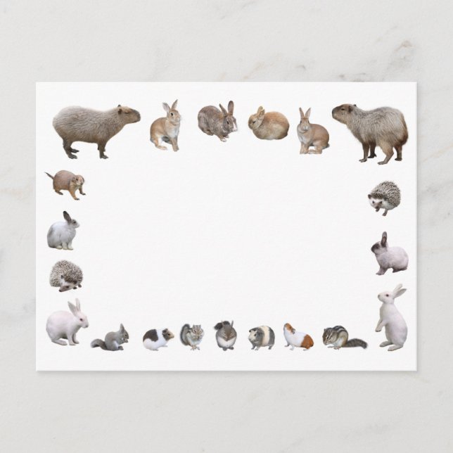 CARTE POSTALE 様 々 な 小 動 物 (Devant)