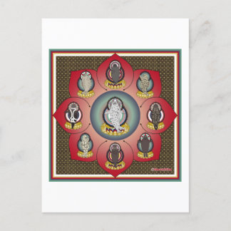 Carte Postale 海 豹 曼 羅 (phoque mandala)