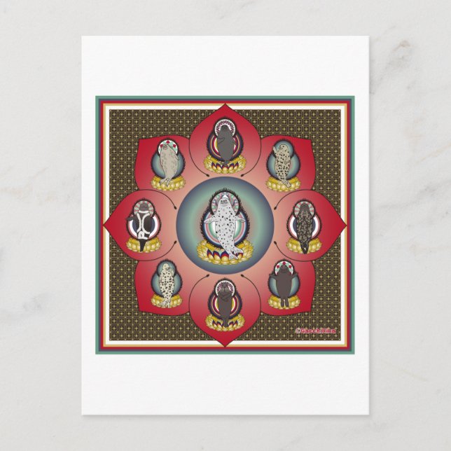 Carte Postale 海 豹 曼 羅 (phoque mandala) (Devant)