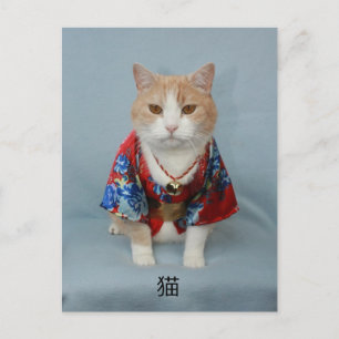 CARTE POSTALE 猫