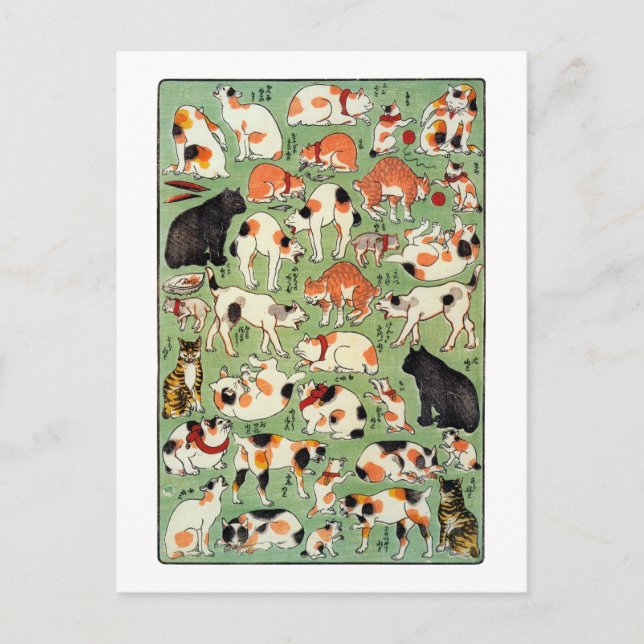Carte Postale 猫 尽 両 め ん 合, 芳 Chats de l'ère Edo, Yoshifuji, Ukiy (Devant)