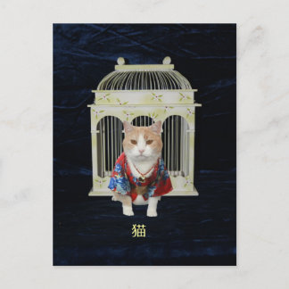 Carte Postale 猫 Chat chanceux
