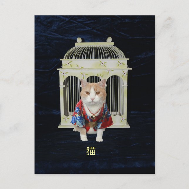 Carte Postale 猫 Chat chanceux (Devant)
