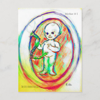 CARTE POSTALE 胎児　赤ちゃん　人体カラフルデザイン