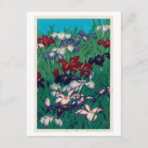 Carte Postale 菖, 蒲, Iris, Hasui Kawase, Woodcut