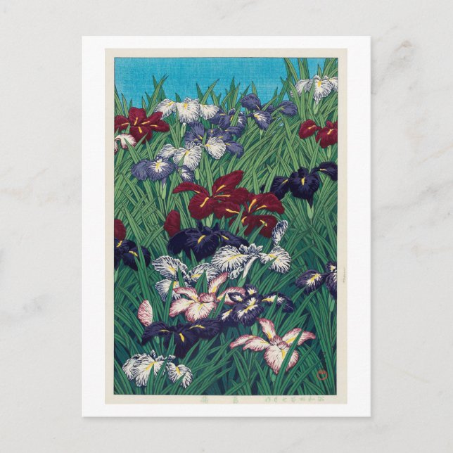 Carte Postale 菖 蒲, Iris, Hasui Kawase, Woodcut (Devant)