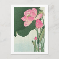 蓮 の 花, 小 原 邨 fleur de Lotus, Ohara Koson, Ukiyo-e