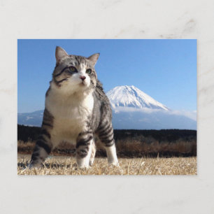 Carte Postale 野 良 猫 ニ ャ ン い 吉 de !