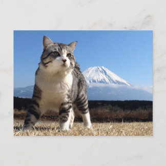 Carte Postale 野 良 猫 ニ ャ ン い 吉 de !