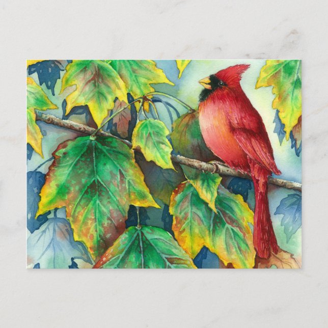 Carte Postale 0004 CardinalPostcard (Devant)