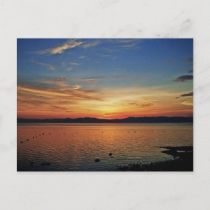 carte postale 00104B01
