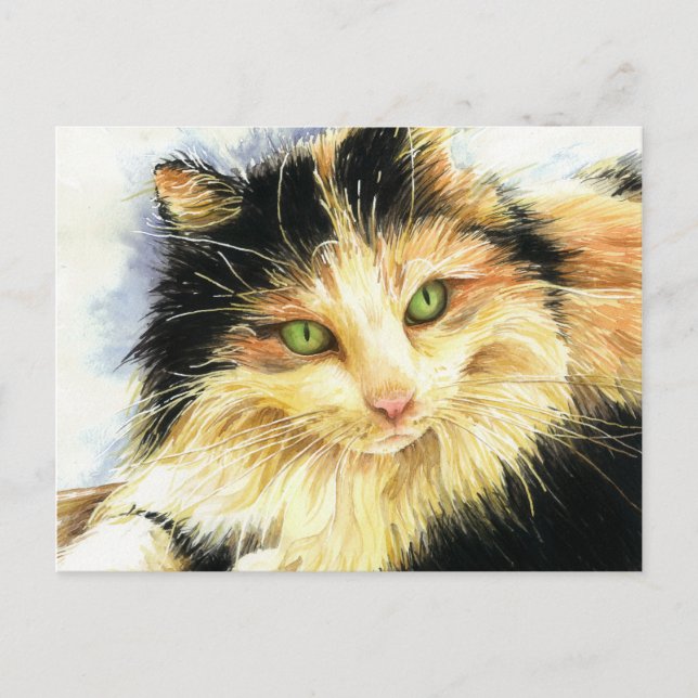 Carte Postale 0010 Calico Cat (Devant)